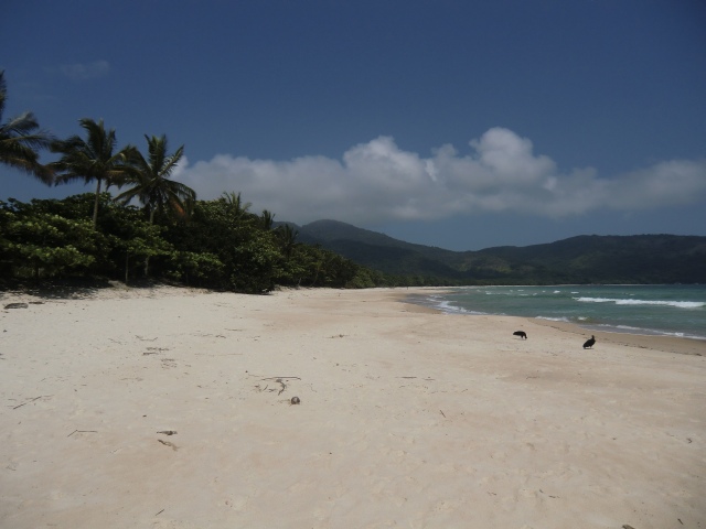 Am Lopes Mendes Beach