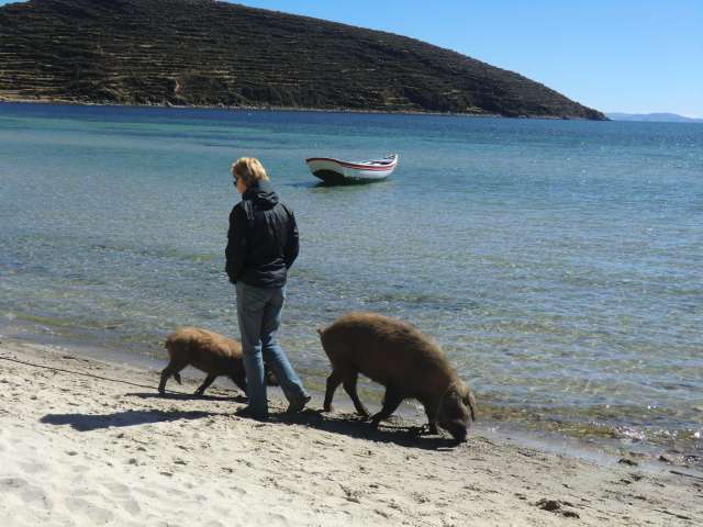 Strandspaziergnger unter sich