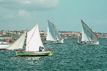 Regatta im Ankerfeld