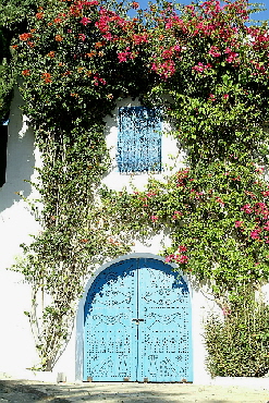 Sidi Bou Said