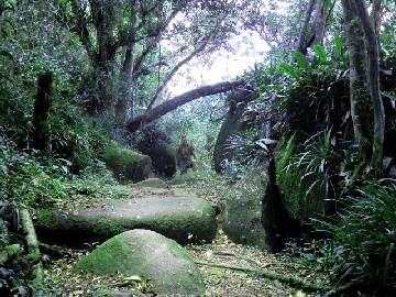 Ilha-Grande-Wandertag