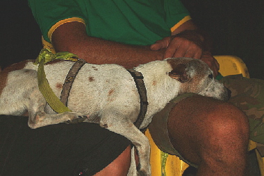 Voll der Fussballfan! Der Hund von Christelle und Jaco