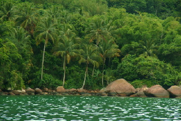 Zurck zur Natur - auf der Ilha Grande