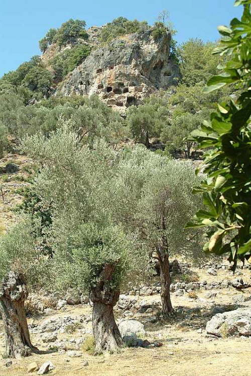 04.09. In der Tomb-Bay