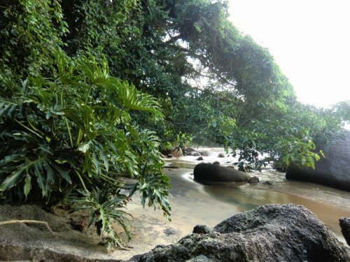 09.01.Dschungel-Strand