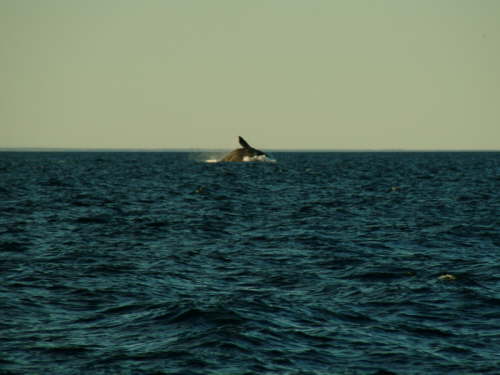 10.10.  30-80 t in Bewegung