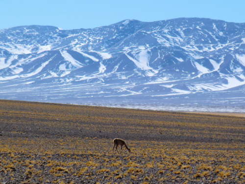 10.6.Traumhaft sch�n!