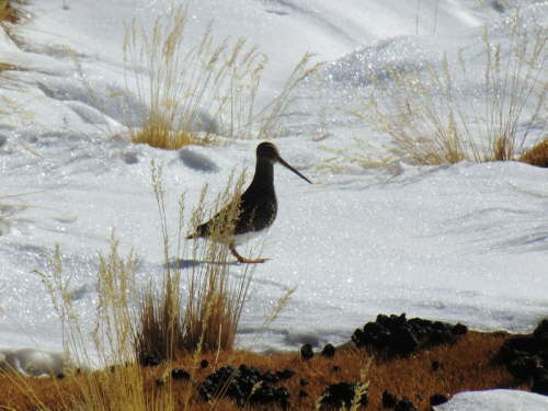 10.6.Hier wohnt doch jemand