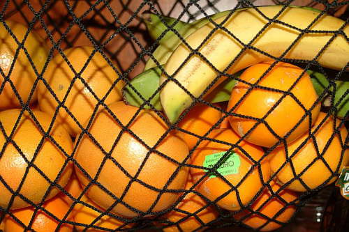 11.01. Die Obstabteilung