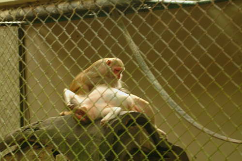 12.07. Das ist Liebe!