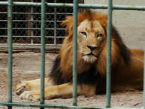 12.07. Er ist hier der King