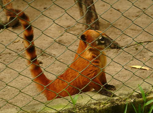 12.07. Oeh, wer bist du denn?