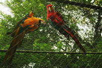 12.07. ... sie gucken raus