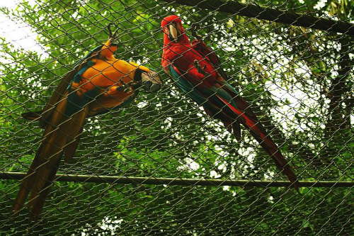 12.07. ... sie gucken raus