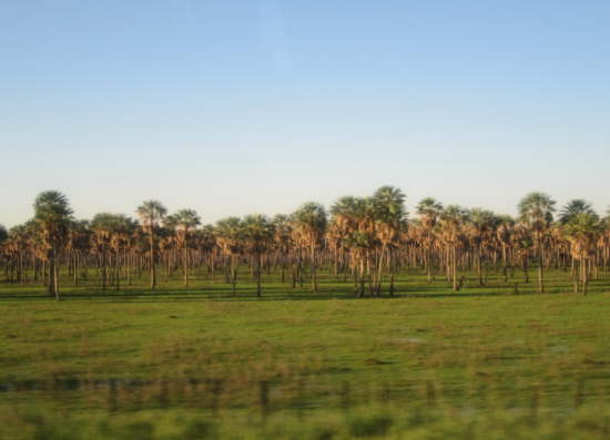 12.7.Unterwegs in den Chaco