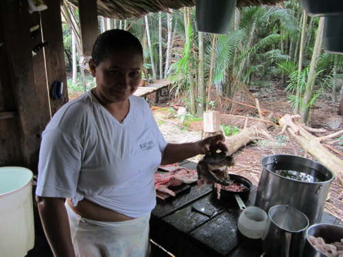 13.1.Heut gibt�s Jacar� (Kaiman)