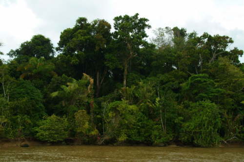 13.12.La Mata - der Regenwald