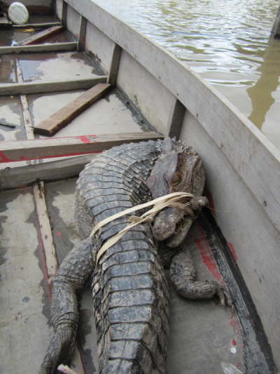 12.1.Der hat Pech gehabt