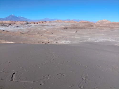 13.6.Auf der h�chsten D�ne