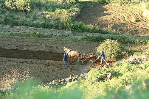 14.12. Wie zu alten Zeiten.