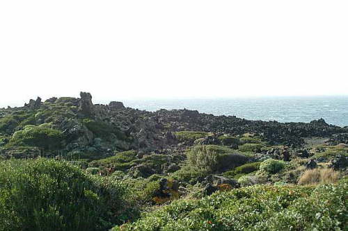 15.12. Der vulkanische Ursprung ...