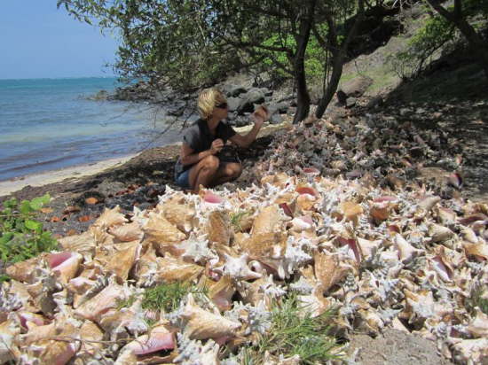 16.5.Leider alle leer