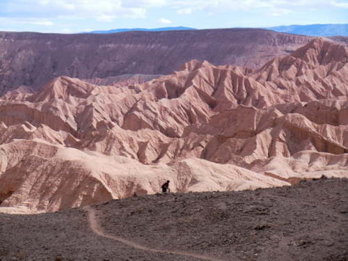 17.6.Und wieder Falten