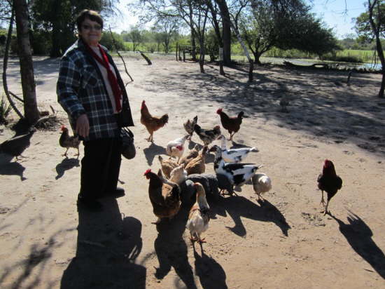 17.7.Auf der Estancia 