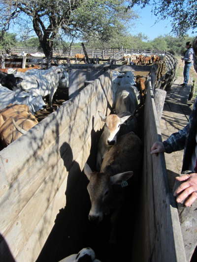 17.7.Hier wird sortiert