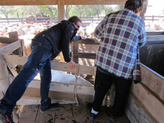 17.7.Klappe auf, Klappe zu, ...