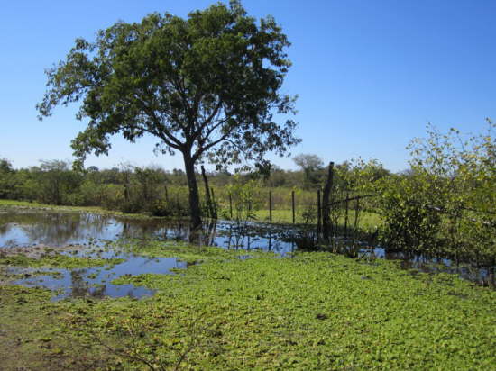17.7.Immer noch viel Wasser