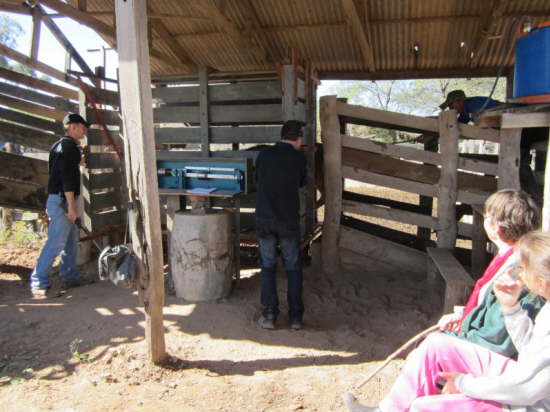 17.7.Ren� an der Waage