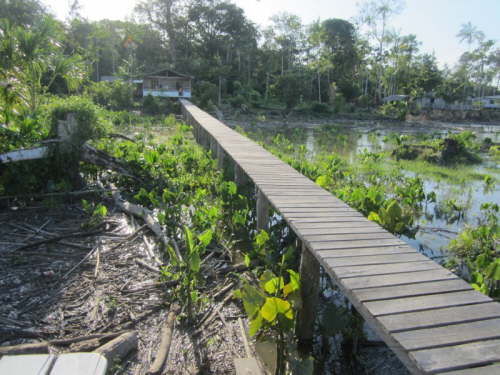 18.12.Steg zu Angela und Markus� Haus