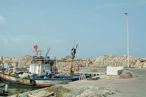 18.04. Fallen fuer Krake und Co.