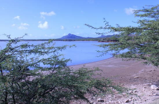 1.Das Goto Meer - hier soll`s ne Menge Flamingos geben...