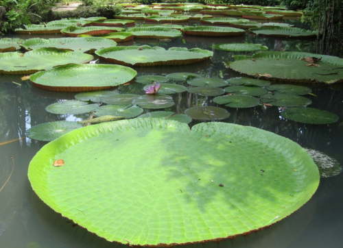 20.11.Da kann man nicht drauf sitzen
