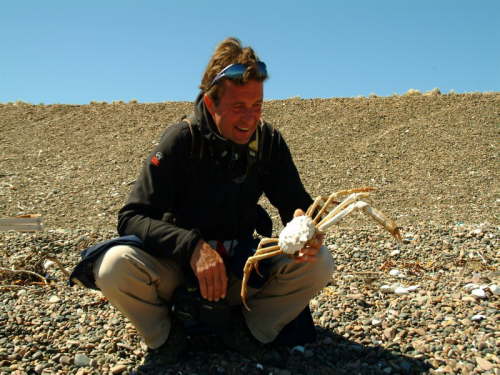 20.10. Kleine Seespinne