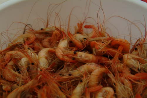 20.12.Camar�os - hmm, lecker!