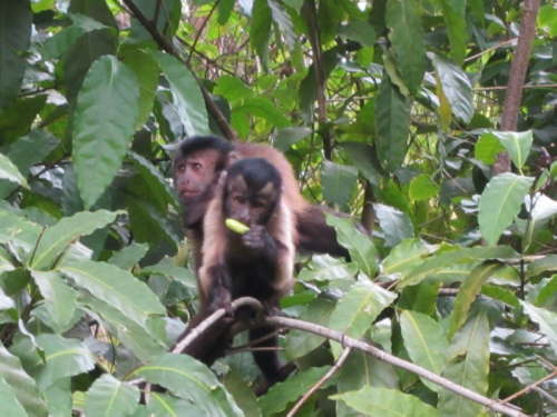 20.1.Wir werden beobachtet