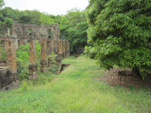 20.1.K�pt�n bei der Mangoernte