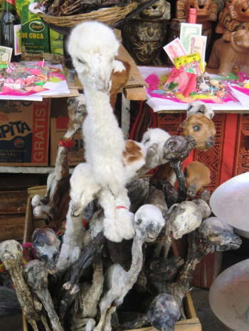 20.7.Mercado de Hechiceria