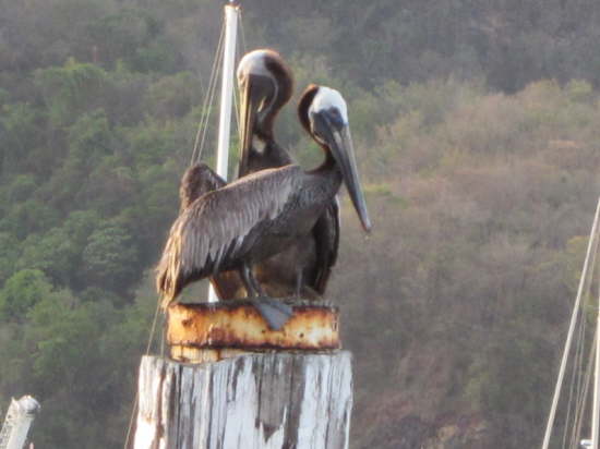 2.5.Im Jurassic-Park?