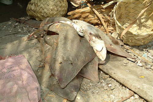 21.01. Oh, es riecht fein ...