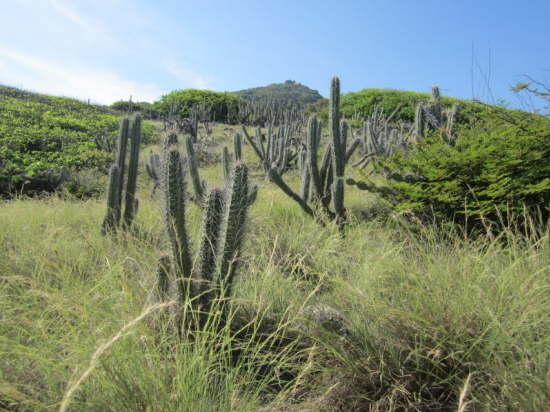 21.9.Wandern auf Testigo Grande