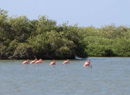 21.Ankerplatzsuche in den