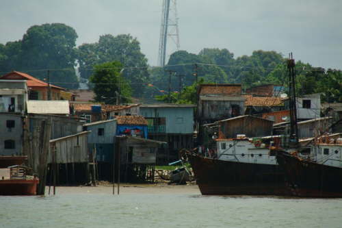 22.10.Im Rio Par� - Amazonien