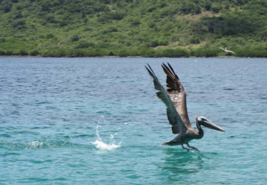 22.8. ...3, 2, 1, START!!