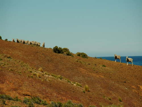 22.10. Immer unter Beobachtung