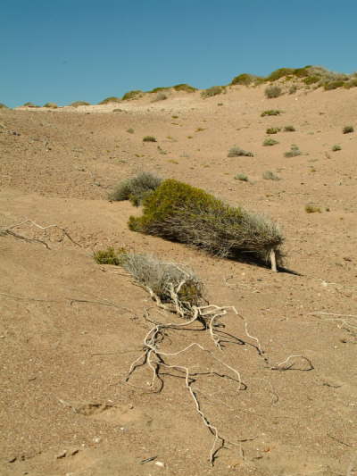 22.10. Windfl�chter