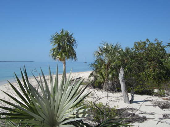 22.Mira im Palmenwald